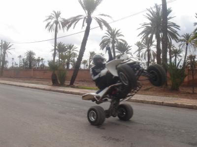                                    (_●) STUNT46I (_●)