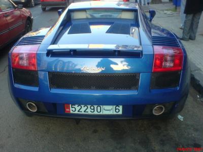                                                          (_●) lamborghini(_●)