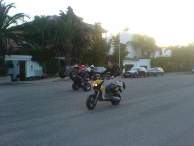 predator vs stunt