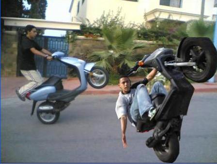 ismail vs amine