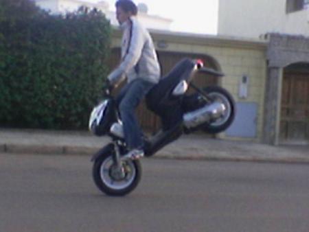widoo